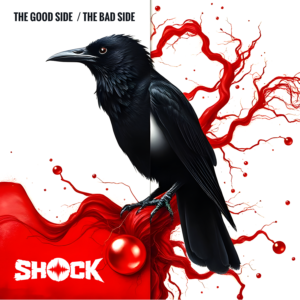 THE GOOD SIDE THE BAD SIDE official
